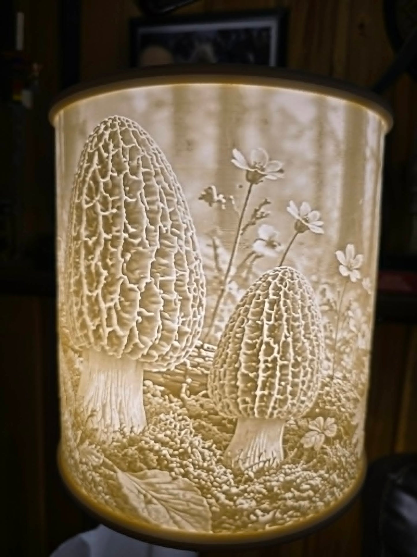 Morel Mushrooms on display design top mount lamp shade