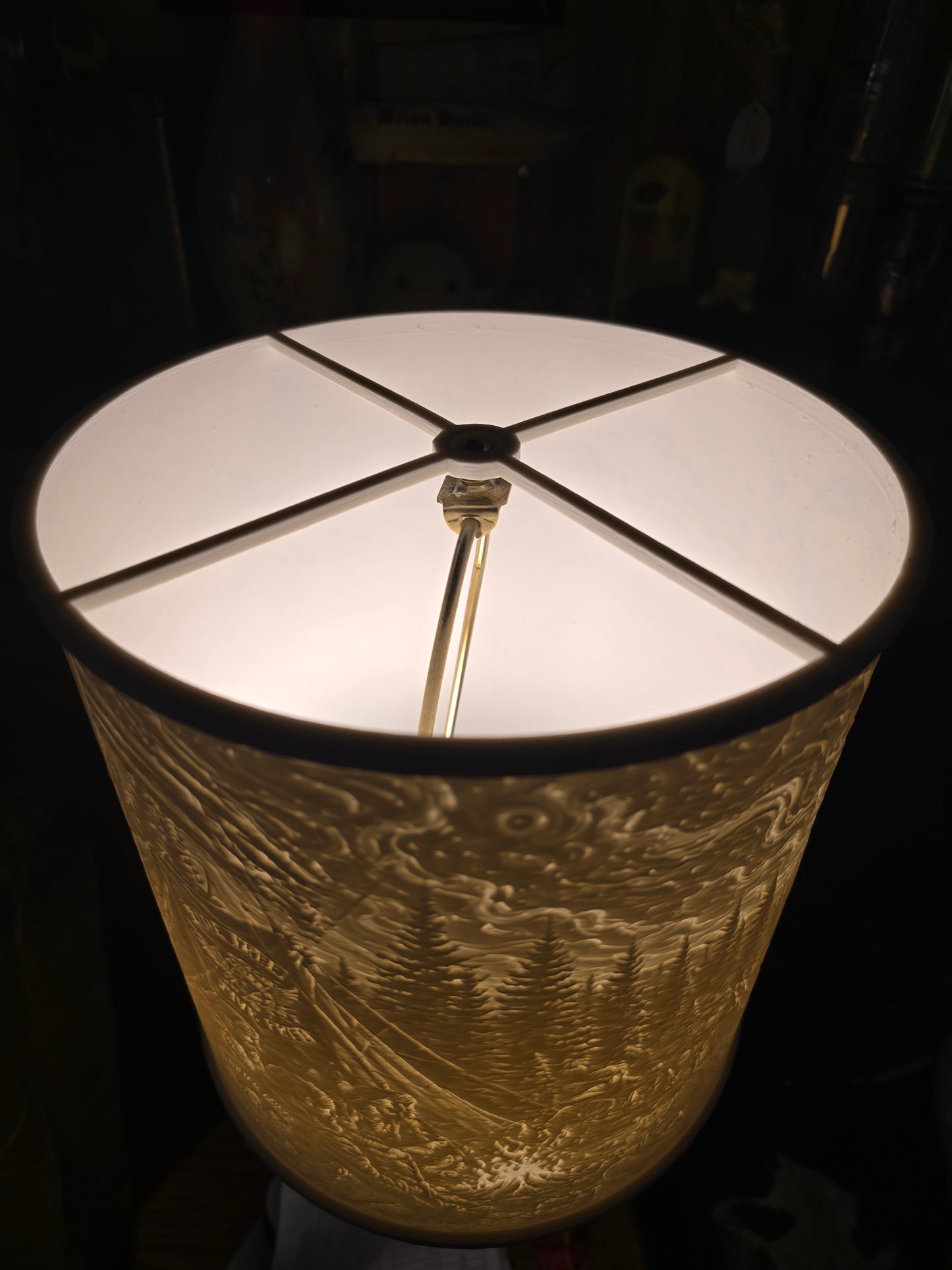 Fishing in the Dark Wilderness Lamp Shade ONLY