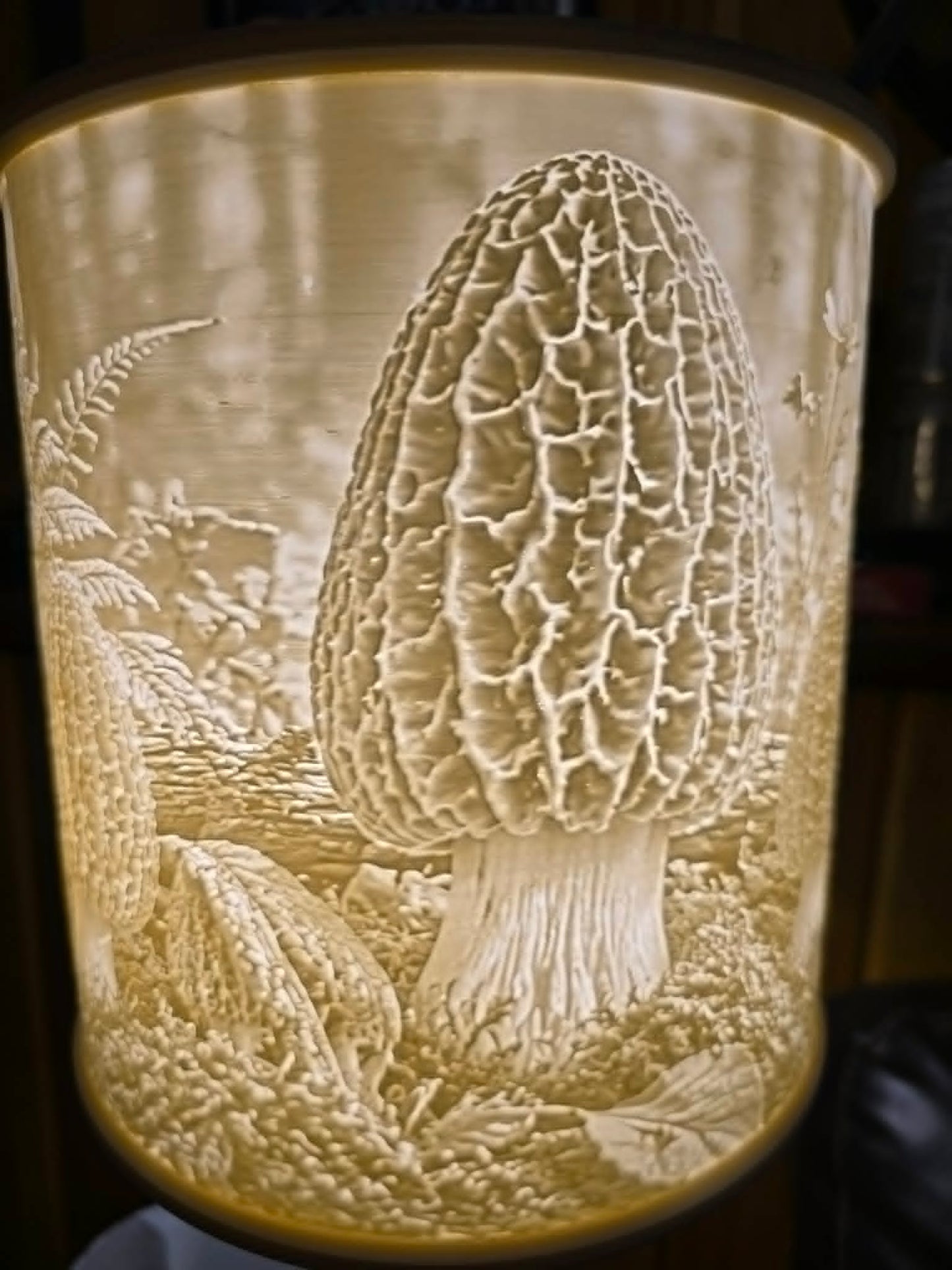 Morel Mushrooms on display design top mount lamp shade