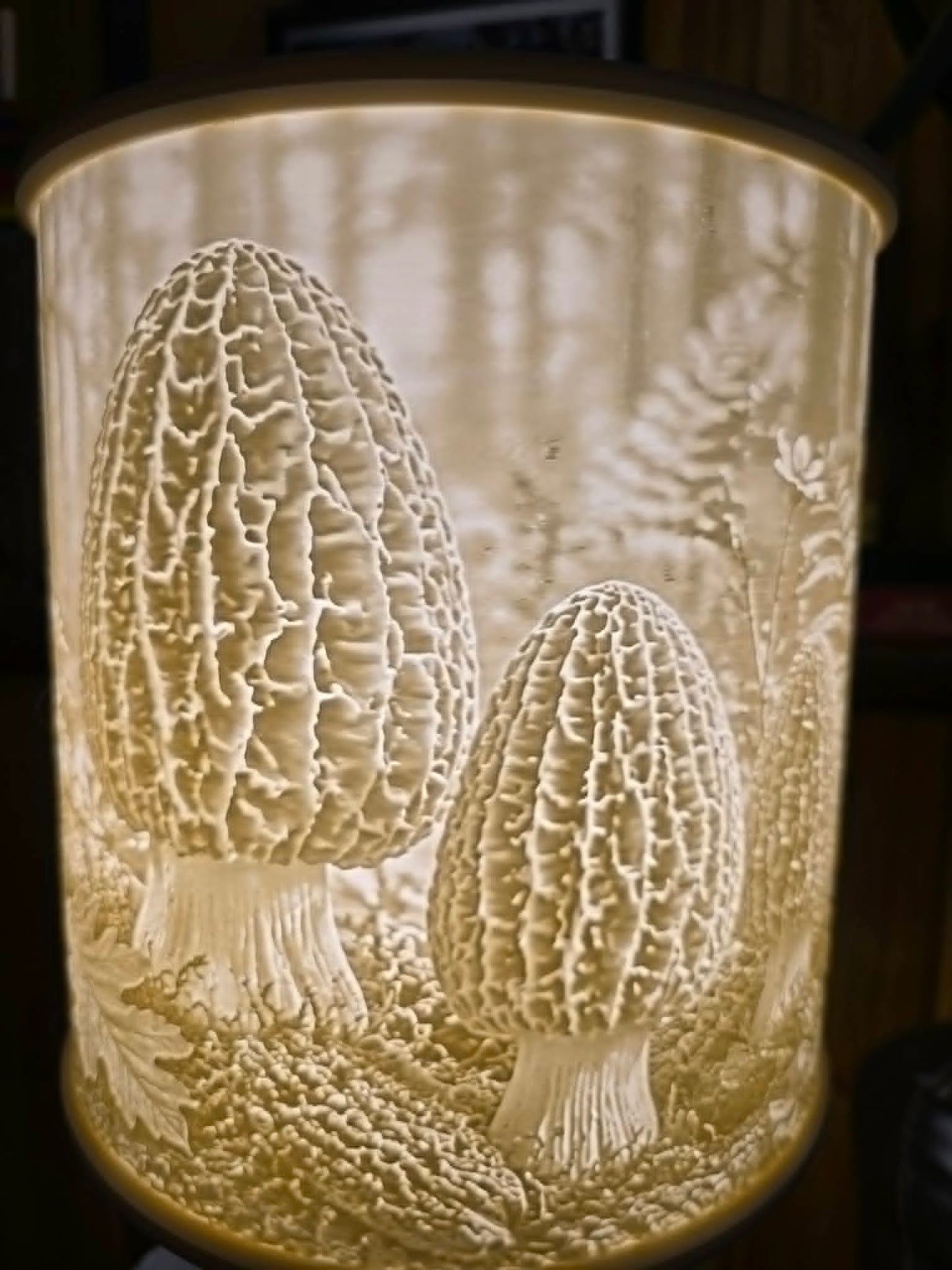 Morel Mushrooms on display design top mount lamp shade