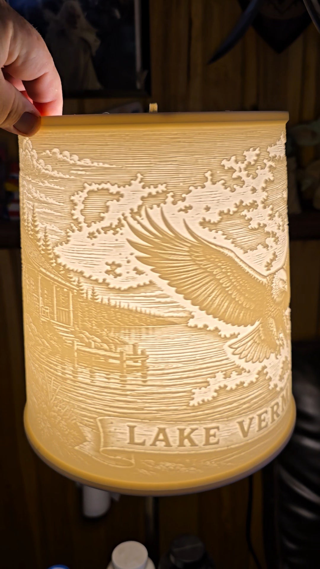 Lake Vermilion vintage eagle design top mount