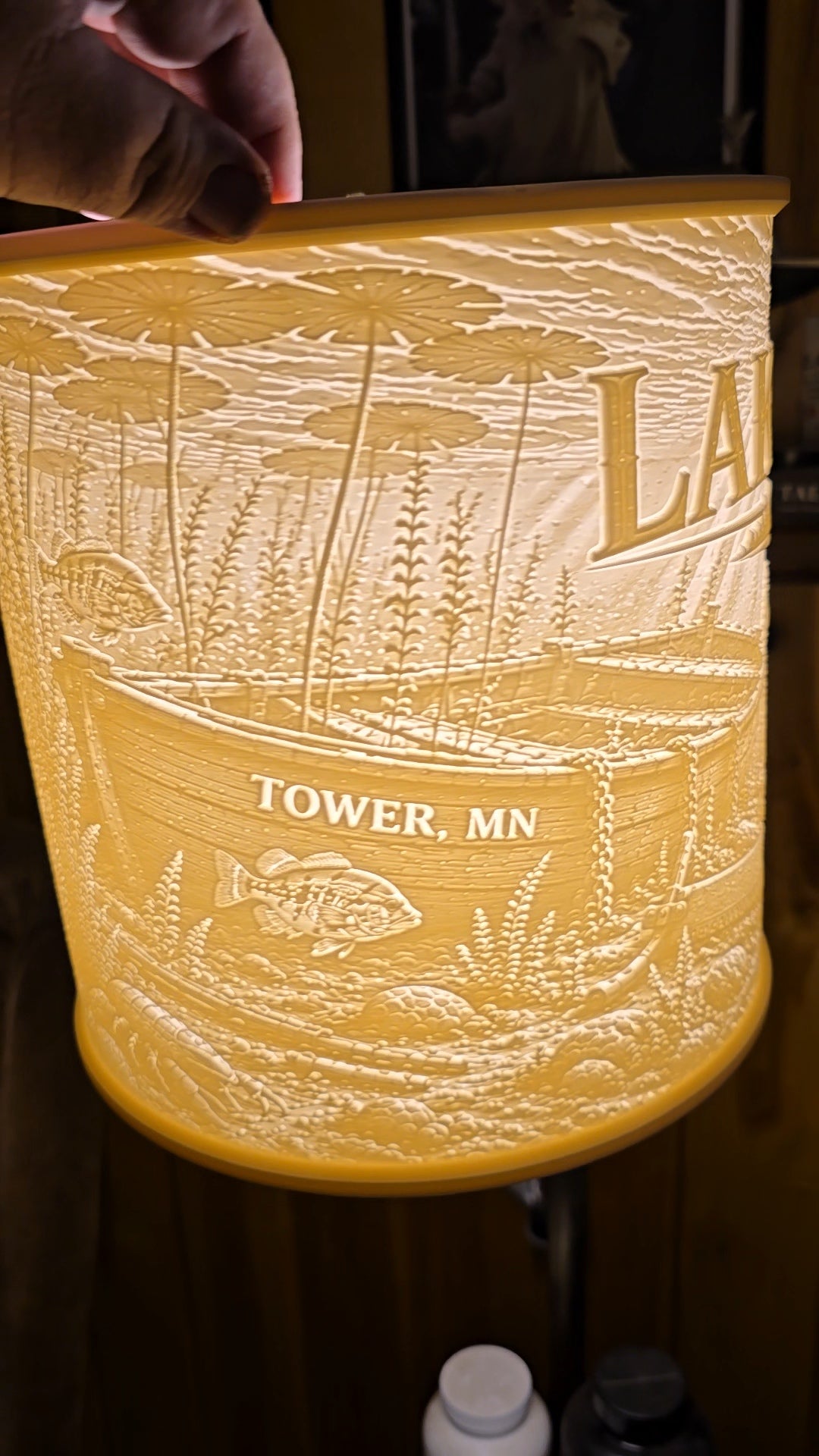 Lake Vermilion Duffy Island Tower MN top mount design